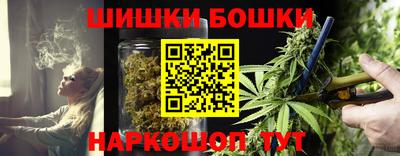 крисы Коммунар