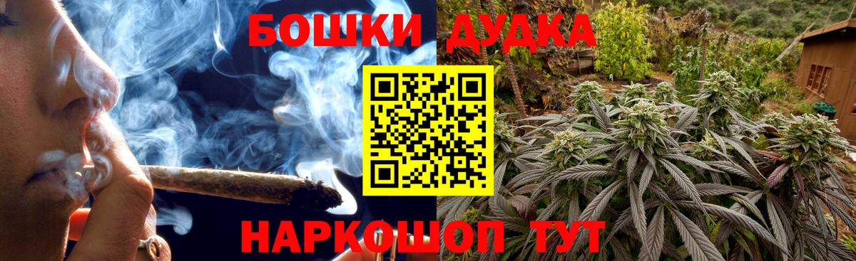Псилоцибиновые грибы Кольчугино